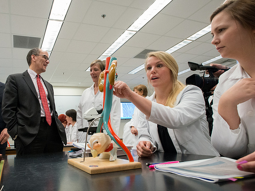 docs looking at kidney model